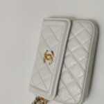 Chanel Quilted Calfskin CC Belt Bag (Шанель) — фото 28
