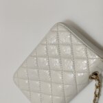 Chanel Quilted Calfskin CC Belt Bag (Шанель) — фото 29