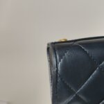 Chanel Quilted Lambskin CC Crossbody (Шанель) — фото 24