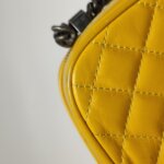 Chanel Quilted Waxed Calfskin Crossbody (Шанель) — фото 17