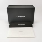 Chanel 22Bag (Шанель) — фото 10
