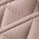 Chanel Quilted Lambskin CC Crossbody (Шанель) — фото 17