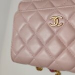 Chanel Quilted Lambskin CC Crossbody (Шанель) — фото 22