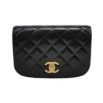 Chanel Quilted Calfskin CC Belt Bag (Шанель) — миниатюра 1