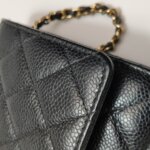Chanel WOC (Шанель) — фото 23