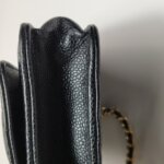 Chanel WOC (Шанель) — фото 25