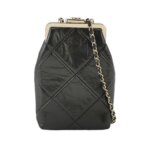 Chanel Quilted Waxed Calfskin Crossbody (Шанель) — миниатюра 1