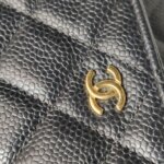 Chanel WOC (Шанель) — фото 17