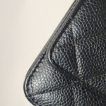 Chanel WOC (Шанель) — фото 24