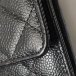 Chanel WOC (Шанель) — фото 25