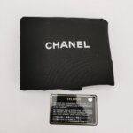 Chanel Leboy (Шанель) — фото 9