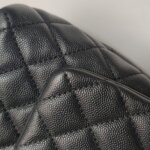Chanel Coco Handle (Шанель) — фото 28