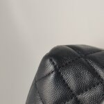 Chanel Coco Handle (Шанель) — фото 29