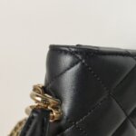 Chanel Quilted Lambskin CC Crossbody (Шанель) — фото 20