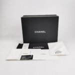 Chanel 19Bag (Шанель) — фото 10