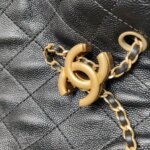 Chanel 25 Bag (Шанель) — фото 17