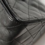 Chanel 25 Bag (Шанель) — фото 24