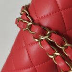 Chanel Classic Flap (Шанель) — фото 13