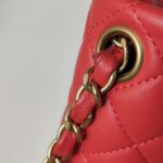 Chanel Classic Flap (Шанель) — фото 14