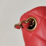 Chanel Classic Flap (Шанель) — фото 17