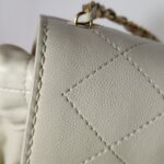 Chanel Quilted Lambskin CC Shoulder Bag (Шанель) — фото 16