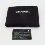 Chanel Leboy (Шанель) — фото 8