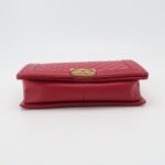 Chanel Leboy (Шанель) — фото 4