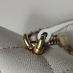 Chanel Quilted Calfskin CC Crossbody (Шанель) — фото 29