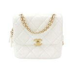 Chanel Quilted Lambskin CC Backpack (Шанель) — миниатюра 1