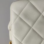 Chanel Quilted Lambskin CC Backpack (Шанель) — фото 31