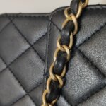 Chanel Flap Bag (Шанель) — фото 15