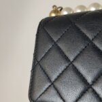 Chanel Flap Bag (Шанель) — фото 28