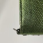 Chanel Lizard CC Crossbody (Шанель) — фото 17