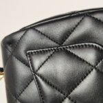 Chanel Flap Bag (Шанель) — фото 19