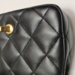 Chanel Flap Bag (Шанель) — фото 21