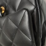 Chanel Flap Bag (Шанель) — фото 23