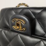 Chanel Flap Bag (Шанель) — фото 24