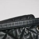Chanel Quilted Lambskin CC Crossbody (Шанель) — фото 23
