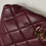 Chanel Quilted Lambskin CC Shoulder Bag (Шанель) — фото 13