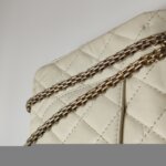 Chanel 2.55 Flag Bag (Шанель) — фото 15
