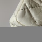 Chanel 2.55 Flag Bag (Шанель) — фото 17