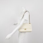Chanel 2.55 Flag Bag (Шанель) — фото 2