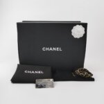 Chanel Coco Handle (Шанель) — фото 9