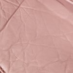 Chanel 2.55 Flag Bag (Шанель) — фото 10