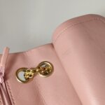 Chanel 2.55 Flag Bag (Шанель) — фото 11