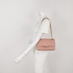 Chanel 2.55 Flag Bag (Шанель) — фото 2