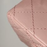 Chanel 2.55 Flag Bag (Шанель) — фото 20
