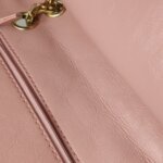 Chanel 2.55 Flag Bag (Шанель) — фото 23