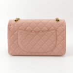 Chanel 2.55 Flag Bag (Шанель) — фото 5