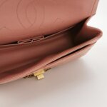 Chanel 2.55 Flag Bag (Шанель) — фото 7